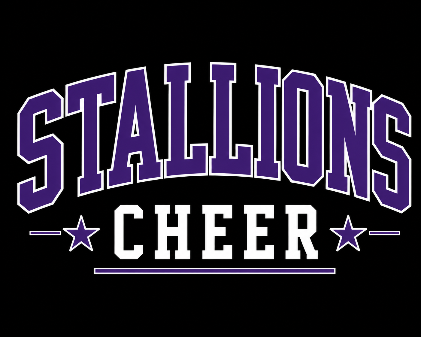 Stallions Custom Cheer Spirit Tee