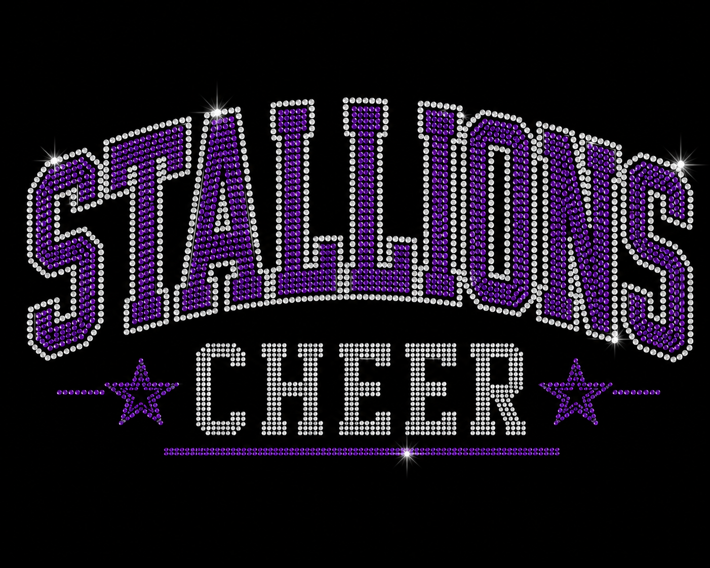 Rhinestone Stallions Custom Cheer Spirit Tee