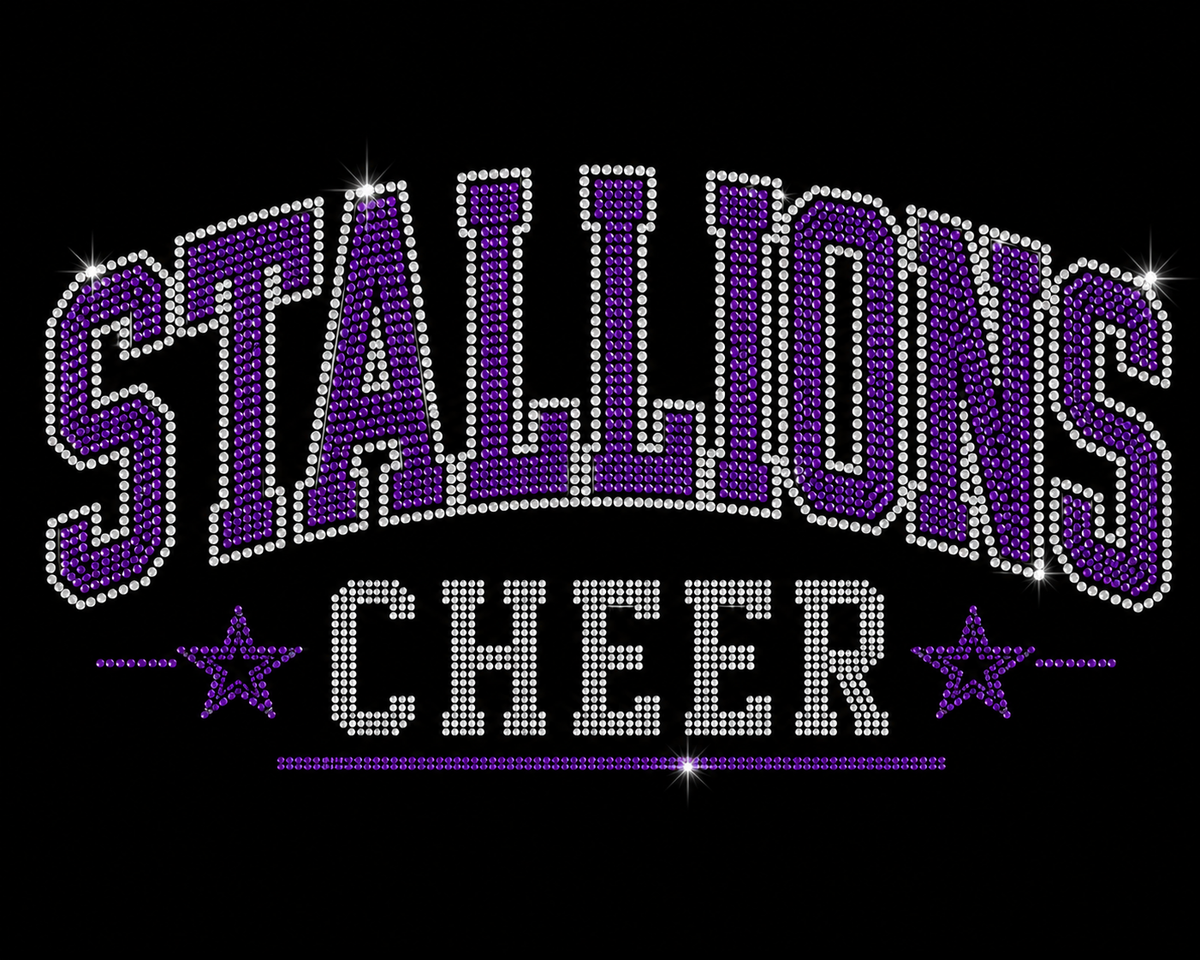 Rhinestone Stallions Custom Cheer Spirit Tee