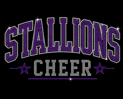 Rhinestone Stallions Custom Cheer Spirit Tee